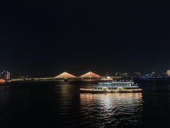 -武汉两江游览·夜游长江(汉阳门码头)