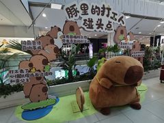 -凯德MALL(西直门店)