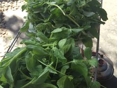 -朝伟清真铜瓢牛肉馆(三十年老·店)