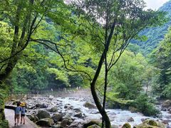 -西岭雪山大飞水景区