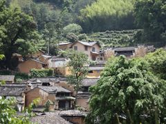 -杨家堂村