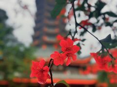 -塔子山公园