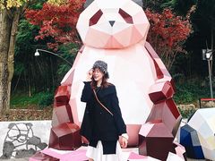 门口的标志-成都大熊猫繁育研究基地