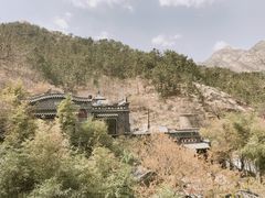 -老张烤羊(王哥庄店)