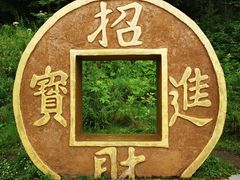 -五营国家森林公园