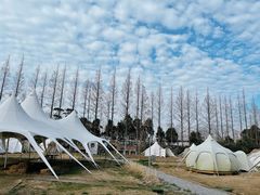 -前小桔亲子创意农场·草莓采摘·露营烧烤