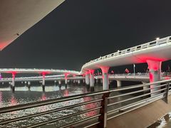 -演武大桥观景平台
