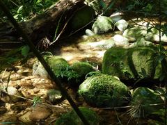 -海南热带雨林国家公园吊罗山景区