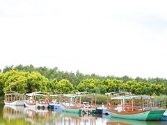 -大湾区中央湿地公园