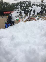 -上美四季动物农场