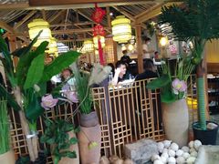 -探窝·竹笙椰子鸡(杨箕店)