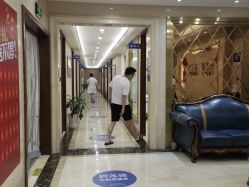 -碧莲盛·不剃发植发