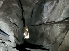 -空心山旅游区