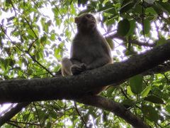-山之巅攀岩馆(太古城店)