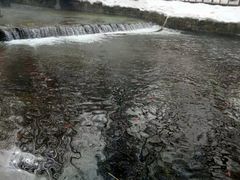 -水磨沟公园