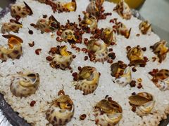 盐焗花螺-华盛丰温州大排档(东三环南路店)