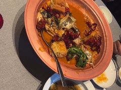 -柿合缘新京菜(国金中心商场店)