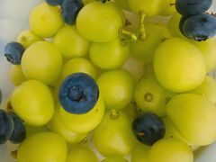 -鲜力达果品批发直销(无锡保利香槟店)