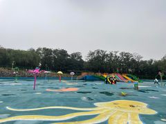 -青龙湖公园