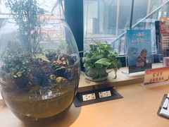 -极橙儿童齿科矫正中心(奥城店)