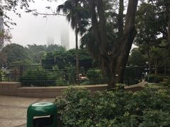 -九龙公园