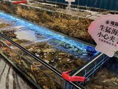 -雍容荟帝王蟹活龙虾展台自助(IFS黑金店)