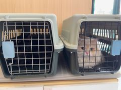 -瑞派·关忠动物医院·猫专科·犬专科(三环新城店)