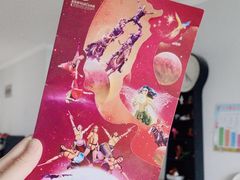 -珠海横琴长隆《卡卡虎奇遇记》