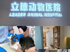 -立德24H动物医院·夜诊·转诊中心·1.5T核磁共振(海珠店)