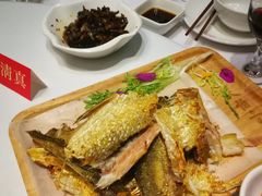 -天怡·鱼工厂(梅溪湖店)