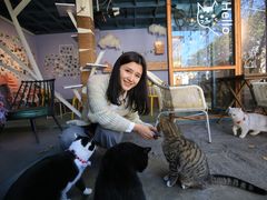 -喵屿·大理花园猫咖