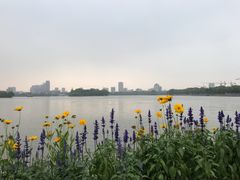 -嘉兴华美达酒店(秦逸路店)