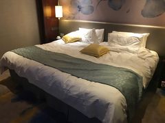 -常州环球恐龙城维景国际大酒店