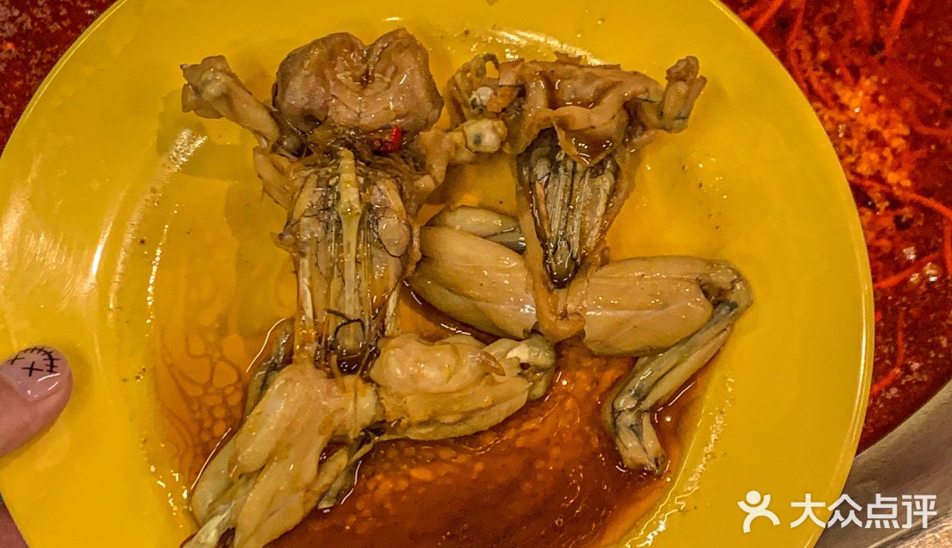 成都探店｜人均50+实现鱼蛙自由‼️