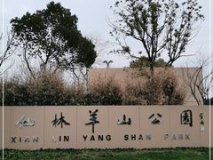 -羊山湖公园