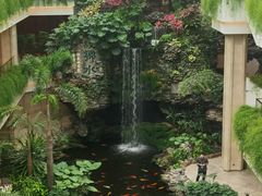 -广州白天鹅宾馆