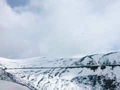 -黄龙山原始森林景区