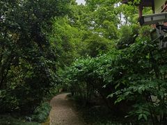 -汇龙潭