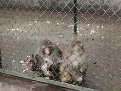 -无锡动物园·太湖欢乐园