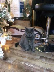 -青木造型HAIR·あおき髪を刈る潮人店