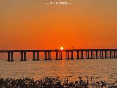 -宝安西湾红树林湿地公园