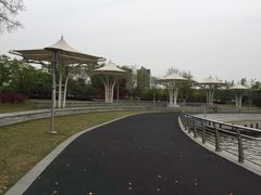 -映月湖中央公园