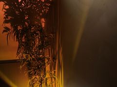 -宁采臣Sleep·采耳·SPA放松馆(湖里万达店)