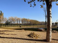 -汉长安城未央宫国家考古遗址公园