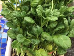 -福来齐·鲁菜海鲜·渔家菜(朝阳街分店)
