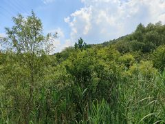 -西湖风景区-江洋畈生态公园