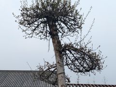 -裕华世纪公园