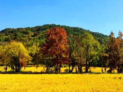 -塔川景区