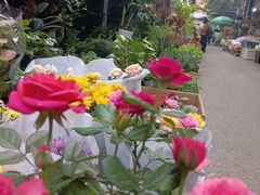 -循礼门鲜花花市(武汉循礼门店)