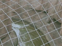 -哈尔滨文化公园